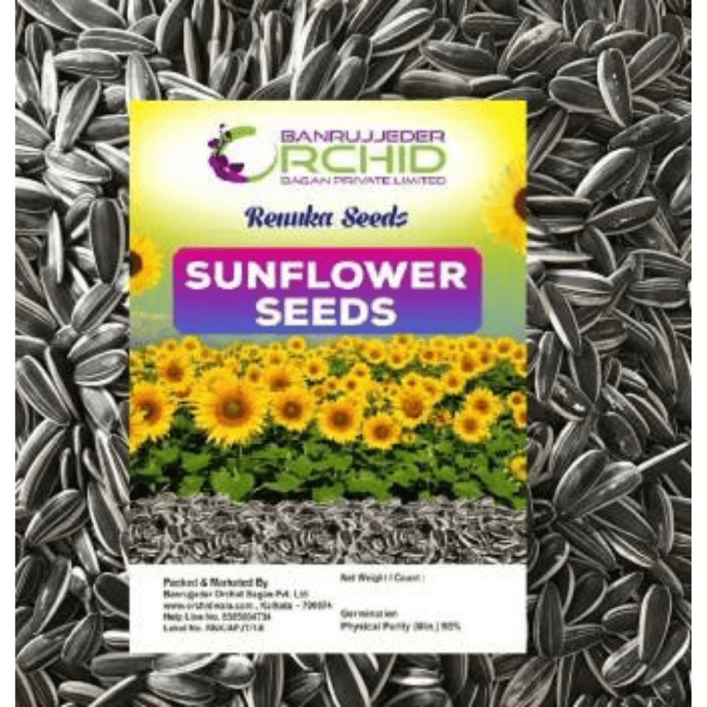 ✔2kg Premium Striped Sunflower Seeds Parrot Parakeet Wild Bird Garden Oil Seed✔ 